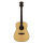 Bromo BAT1 Tahoma Series Dreadnought Gitarre