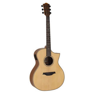 Bromo BAT4CE Tahoma Series Hillside Auditorium Gitarre