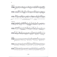Montag Kontrabass Schule 2 EMBZ1884 2