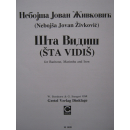 Zivkovic Sta Vidis Baritone Marimba Ison M1020