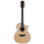 Bromo BAT4CE12 Tahoma Series 12-string Hillside Auditorium G