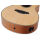 Bromo BAT4CE12 Tahoma Series 12-string Hillside Auditorium G