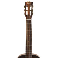 Bromo BAR6H/HS Rocky Mountain Series Parlor Gitarre 6