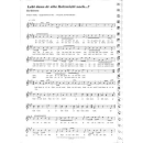 Hildner 100 Hits für Bb + Es Instrumente BOE7697