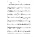Mozart Konzert 2 D-Dur KV 314 (285D) Flöte Klavier...
