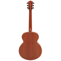Bromo BAA8S Appalachian Series Mini Jumbo Gitarre 4