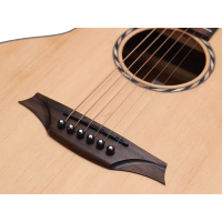 Bromo BAA8S Appalachian Series Mini Jumbo Gitarre 6