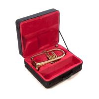 John Packer JP175R Flügelhorn Bb rose brass 2