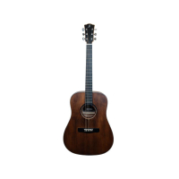 Merida C-10D Cardenas Dreadnought Vintage matt finish 3