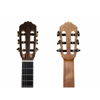 Merida MC-06 Konzertgitarre 4/4 5