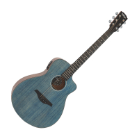 Vintage E-Acoustic VEC300DB gallery