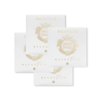 Jargar Eccentric Cello Medium 2