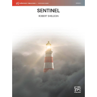 Sheldon Sentinel Concert Band ALF0051010 gallery