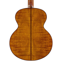 Bromo BAN8E/VS Danali Series mini jumbo guitar 6