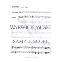 Dosett Trilogy Bass Trombone TB728 2