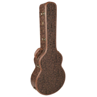 Boston CAC-720-GA Limited Edition case acoustic guitar Grand