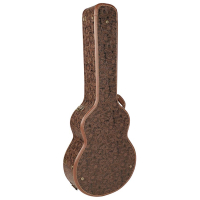 Boston CAC-720-GA Limited Edition case acoustic guitar Grand