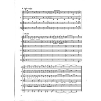 Stief Die deutschen Jagdsignale Fürst-Pless Parforce + 