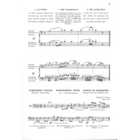 Montag Kontrabass Schule 3 C EMBZ4469 3