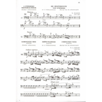 Montag Kontrabass Schule 3 C EMBZ4469 4