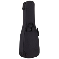 Boston EGB2-565 Smart Deluxe Double Bad E-Guitar 2