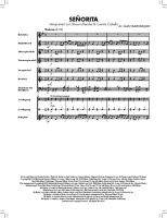 Bläserklasse Chart-Hits Partitur DHP1216296-401 2
