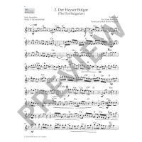 Stephen Klezmer fiddle tunes Violine Audio ED13492D 3