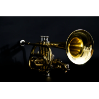 John Packer JP071 Kornett Bb lackiert 3