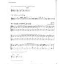 Holzer-Rhomberg Fiedel Max 5 Violine Audio VHR3850