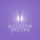 Augustine Spectra E-Gitarre Heavy, lila
