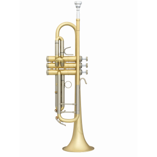 B&S 3138/2-E Elaboration 37 Trompete