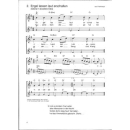 Magolt Die sch&ouml;nsten Weihnachtslieder Violine Audio ED8790D