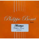 Philippe Bosset 12-String Acoustic Satz .010-.047