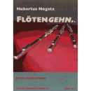 Nogatz Floetengehn - 4 Groovige Stuecke 3 Flöten K&N1513